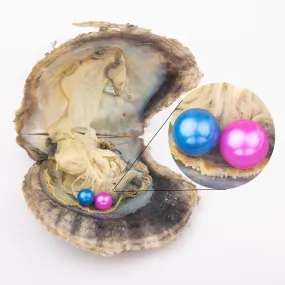 Love Wish Pearl Party Gift Vacuum-packed 7-8mm 4a  quality 2 pearl in oyster Cultured Pearl Oyster twin akoya oyster